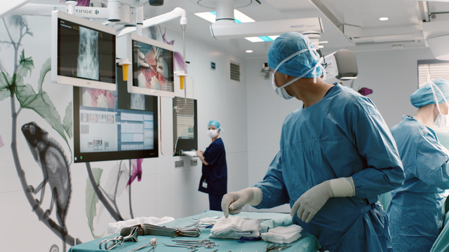 <p>Main image - Getinge - Courtesy of Getinge.png</p>