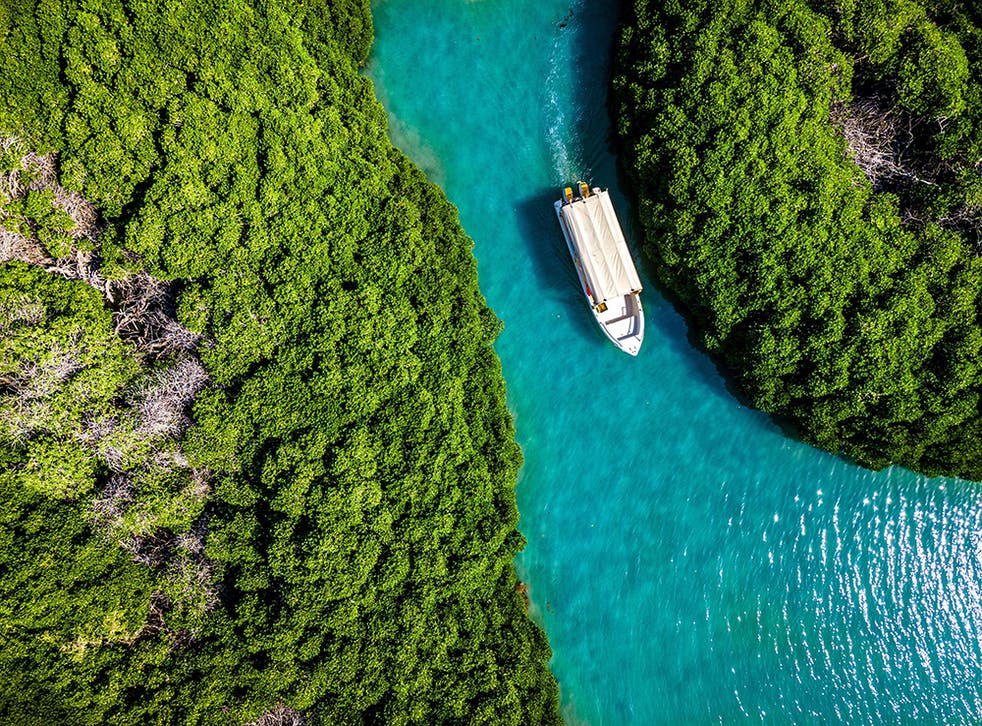 <p>Mangroves on Farasan Island, a far cry from the arid desert often associated with Saudi </p>