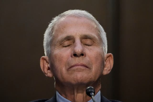<p>Dr Anthony Fauci pauses while testifying during a Senate Committee on Health, Education, Labor and Pensions hearing</p>