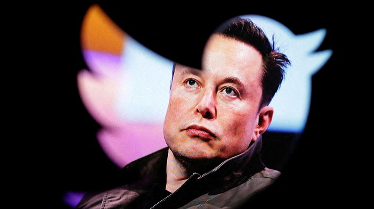 Elon Musk teases return of Vine following Twitter takeover