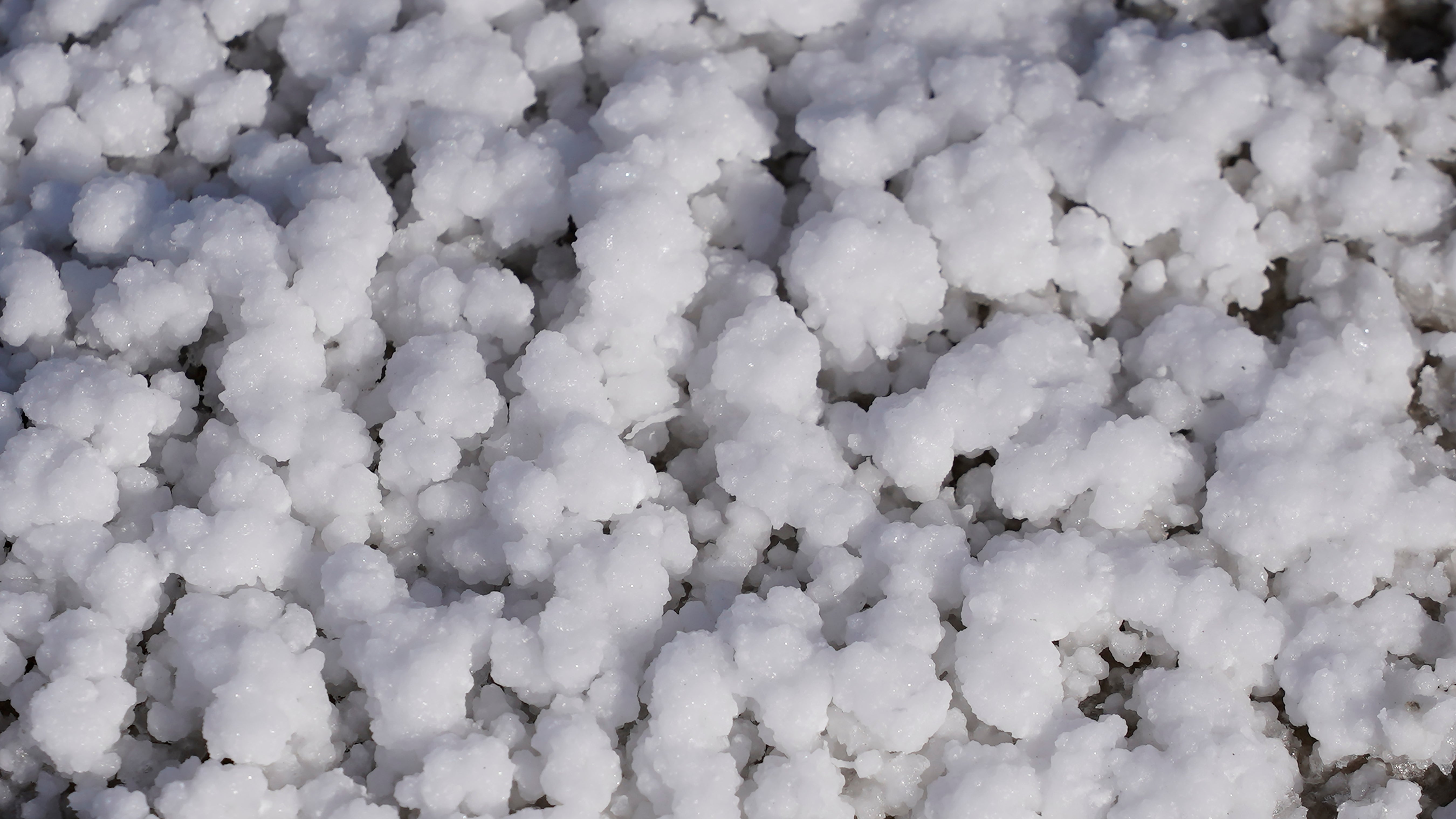 Bonneville Salt Flats