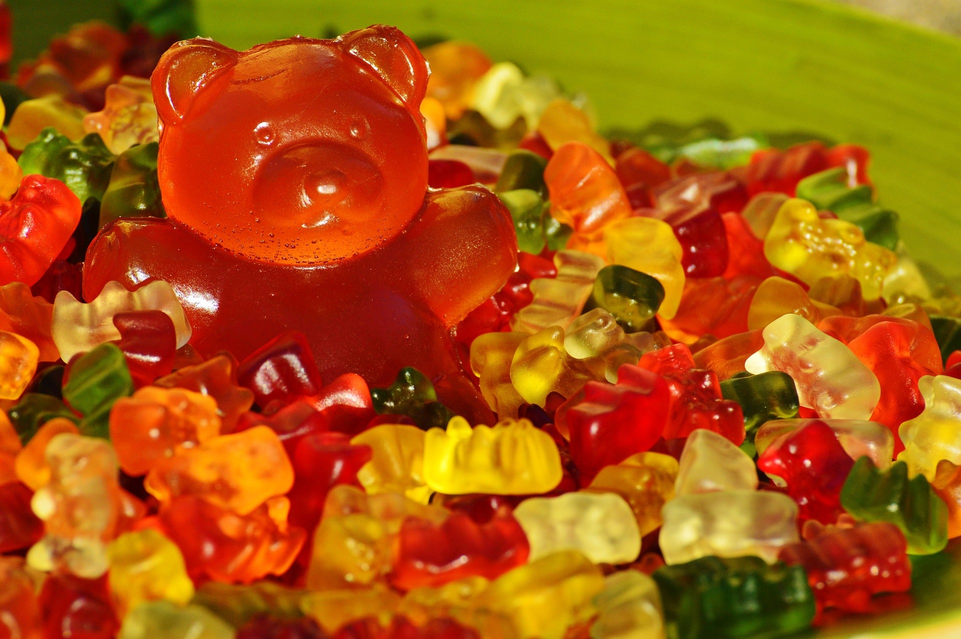 The Gummy Bear Song (High Quality Footage), Lost Media Archive