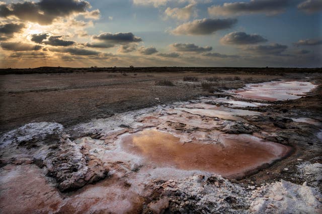 <p>Farmland inundated with saltwater, gradually eats away the soil in the Mediterranean town of Mutubes, in Kafr el-Sheikh province, Egypt</p>