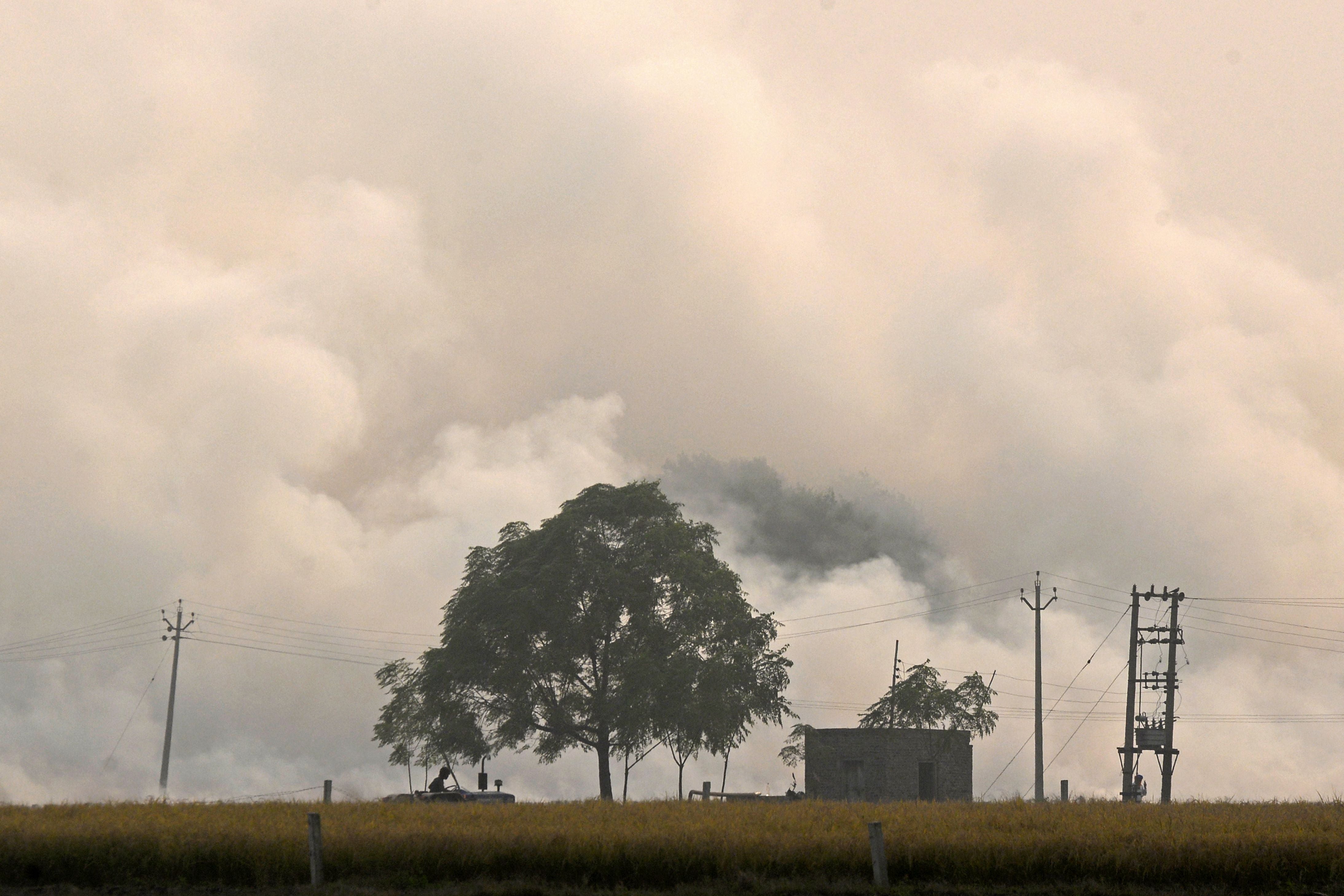 A farmer rides a tractor against the backdrop of burning straw stubble after a harvest in a paddy field on the outskirts of Jalandhar