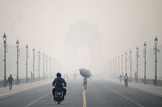 Why India’s capital is being suffocated by toxic smog again: ‘We know it chokes Delhi, but we’re helpless’