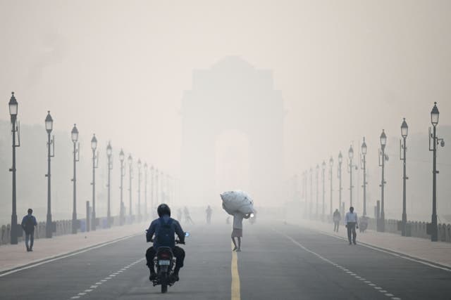 <p>A man carries a sack along the road in front of India Gate amid smoggy conditions in New Delhi on Tuesday, 1 November 2022 </p>