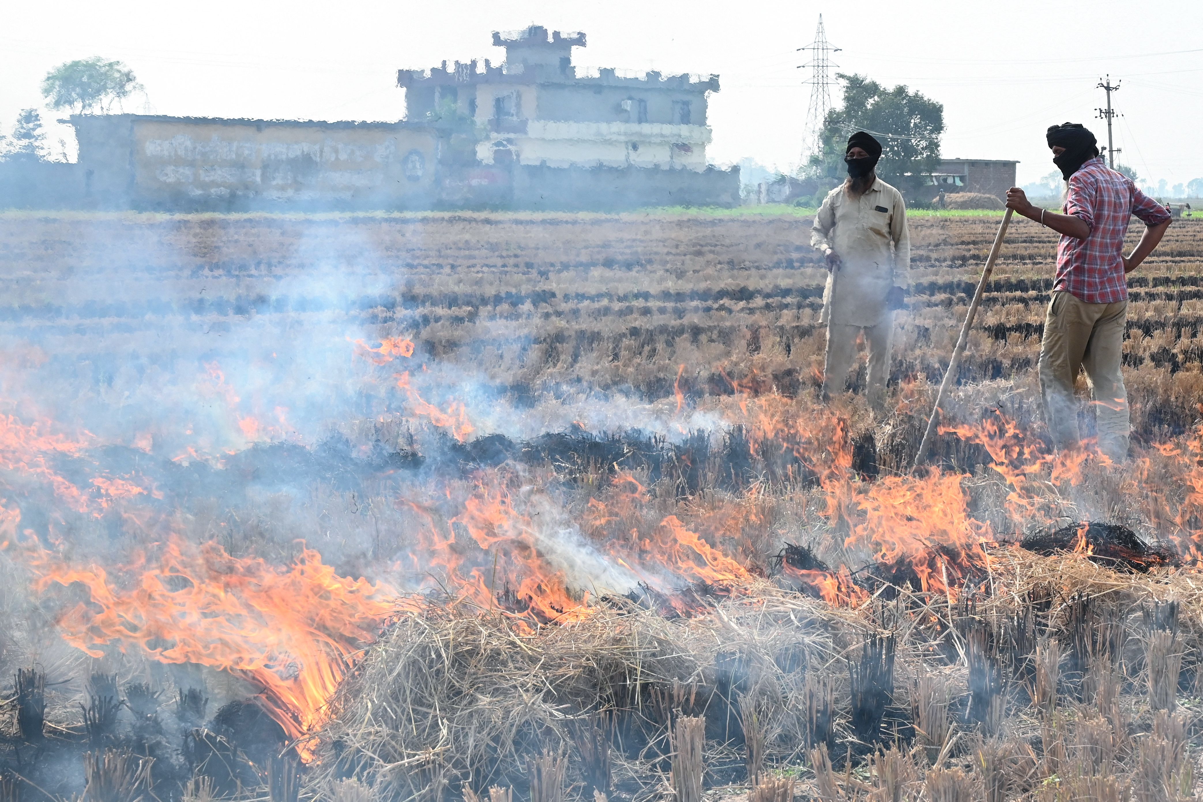 Farmers burn straw stubble after a harvest in a paddy field on the outskirts of Amritsar on Wednesday