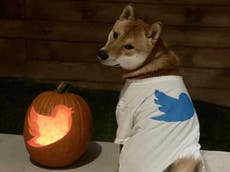 Elon Musk to turn Twitter into payment platform for dogecoin and crypto