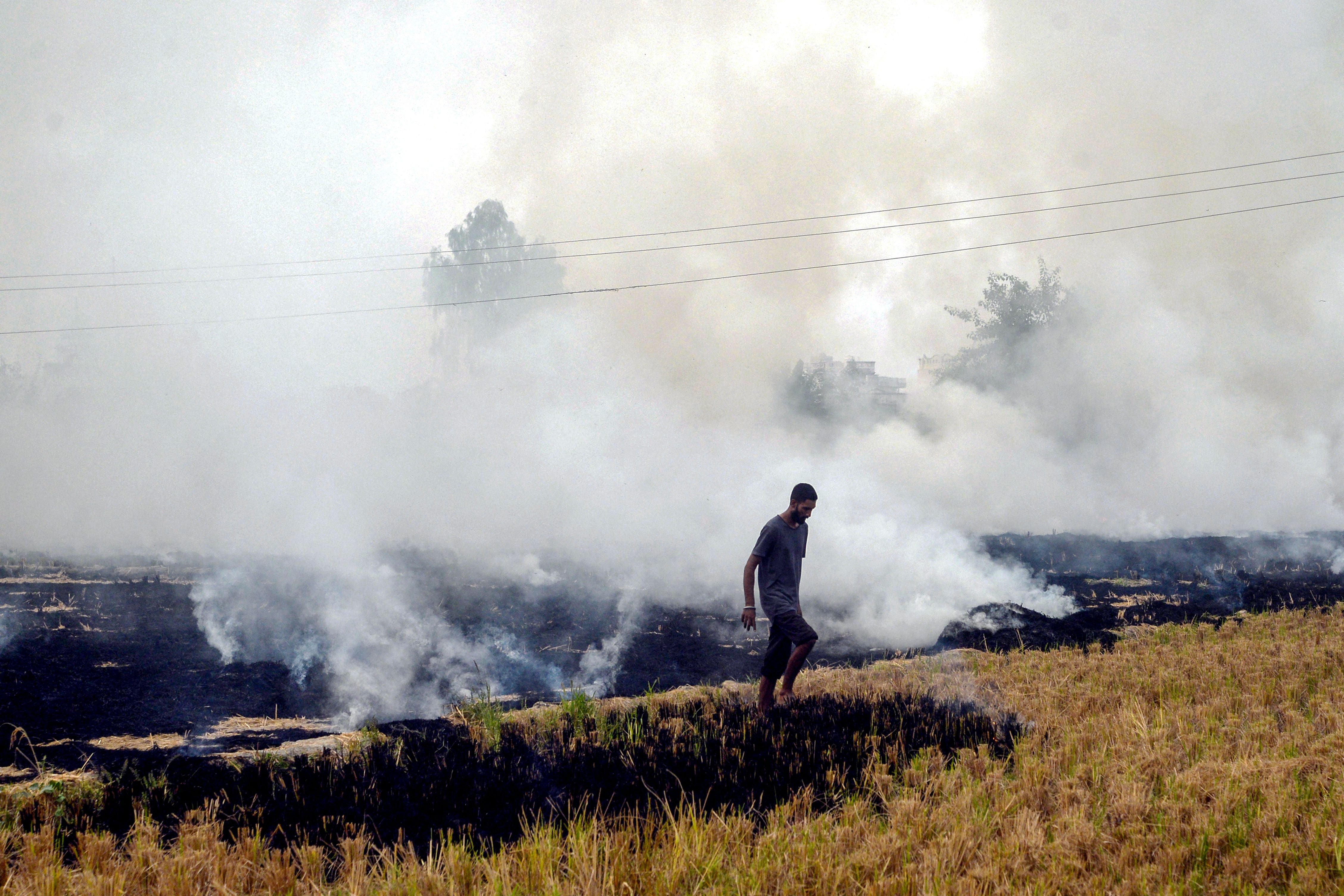 A farmer walks after burning straw stubble in a paddy field in Jalandhar