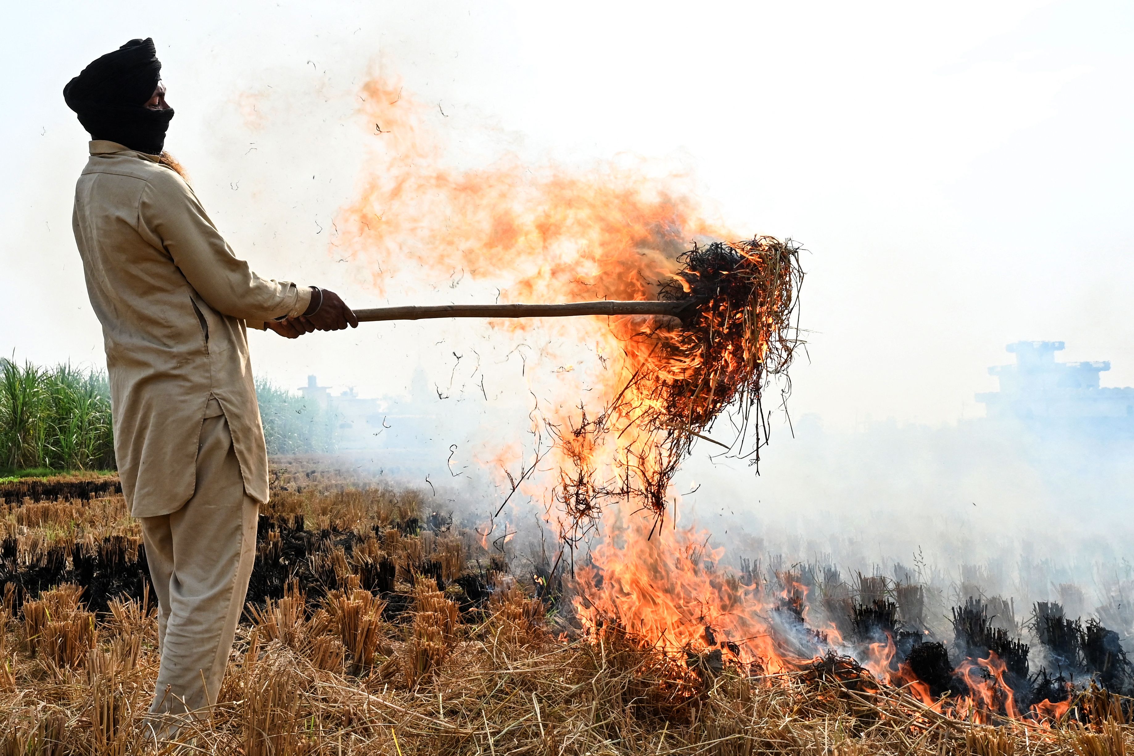 A farmer burns straw stubble after a harvest in a paddy field on the outskirts of Amritsar