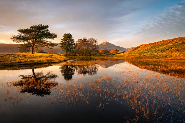 <p>The Lake District is a stunner in autumn:  Kelly Hall Tarn, near Coniston Water</p>