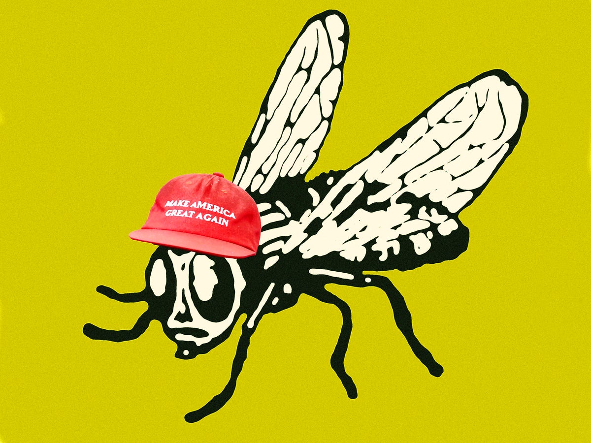 Eww world order: How the right-wing became obsessed with eating bugs