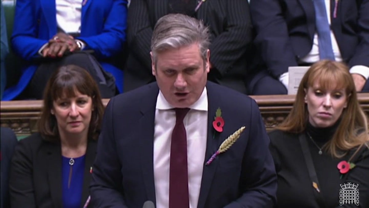Why do MPs wear a sheaf of wheat in their buttonhole?