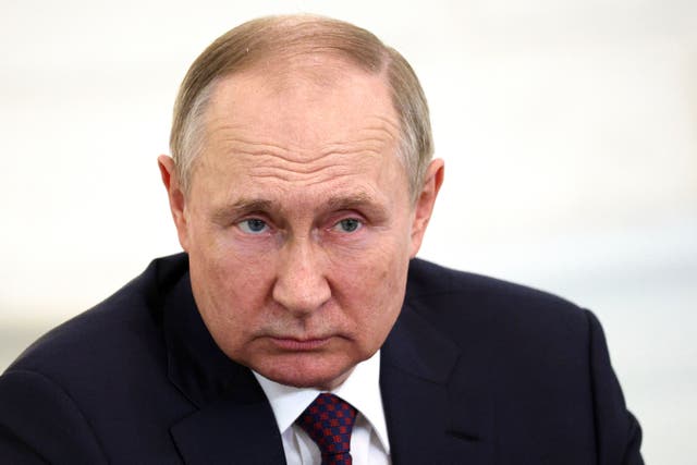Russian President Vladimir Putin (Sergei Bobylev/Sputnik/Kremlin Pool Photo/AP)