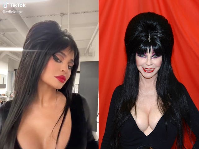 <p>Elvira calls out Kylie Jenner for not tagging her in Halloween recreation</p>