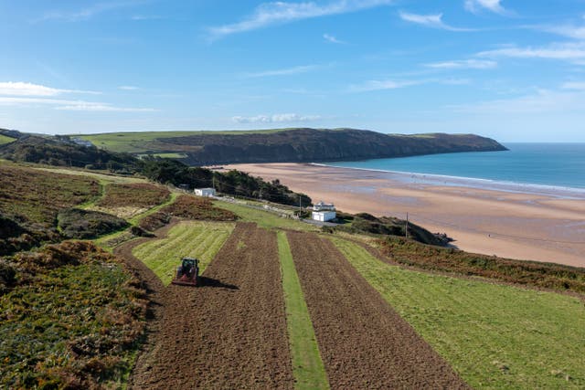 Work is under way to create the UK’s largest wildflower grasslands in north Devon (John Miller/National Trust/PA)