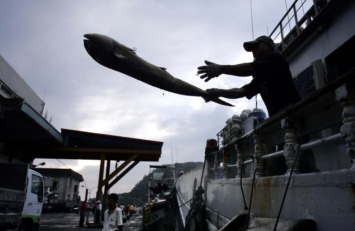Report: Over 100,000 fishing-related deaths occur annually
