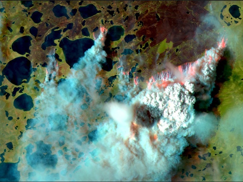 <p>The number of fires was seven times higher than the average since 1982, according to the study</p>