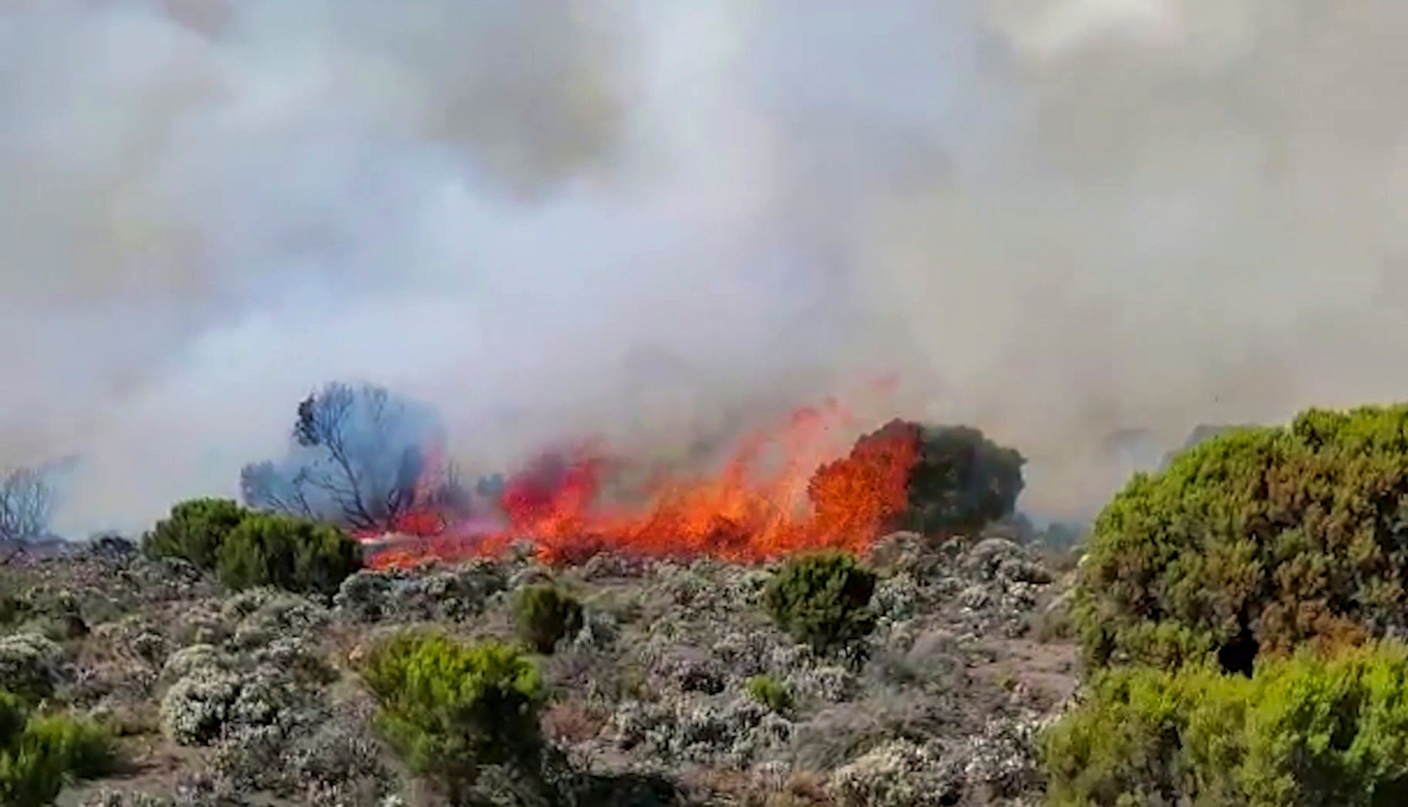 Tanzania Mt Kilimanjaro Fire
