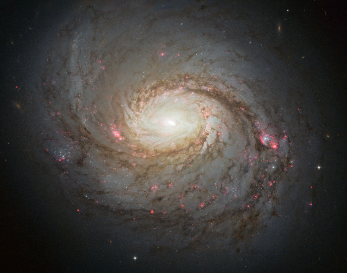 eThe spiral galaxy Messier 77 has been identified as a source of high energy neutrinos, a chargeless, near- massless, and difficult to detect particle created by cosmic ray impacts