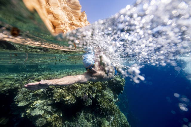 Lewis Pugh swimming in the Red Sea (Lewis Pugh Foundation/PA)