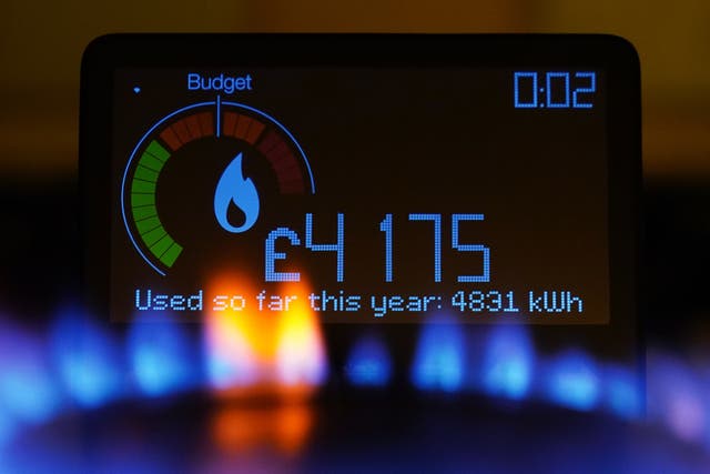 <p>A handheld smart meter showing the cost of a year-to-date’s worth of home energy usage. National Grid plans to cut the amount used were given the go-ahead by the energy regulator (Yui Mok/PA)</p>