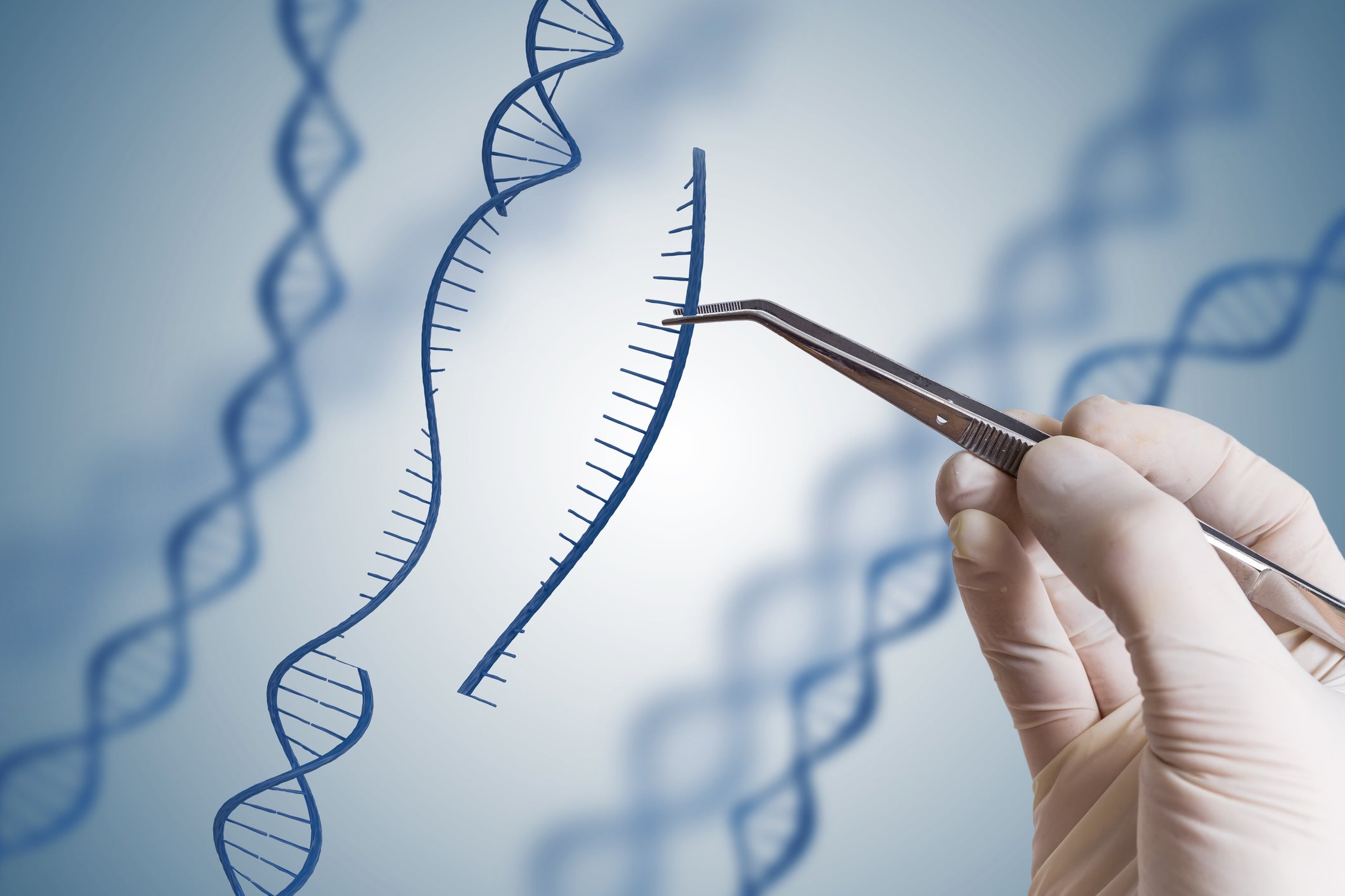 What future could gene editing herald?