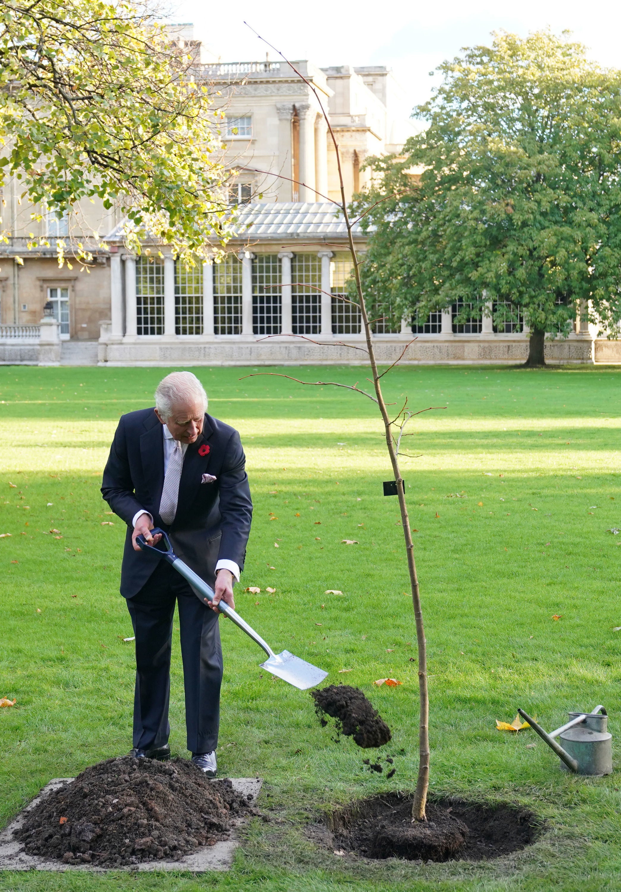 Charles planting a lime tree near the Tea House in the palace garden