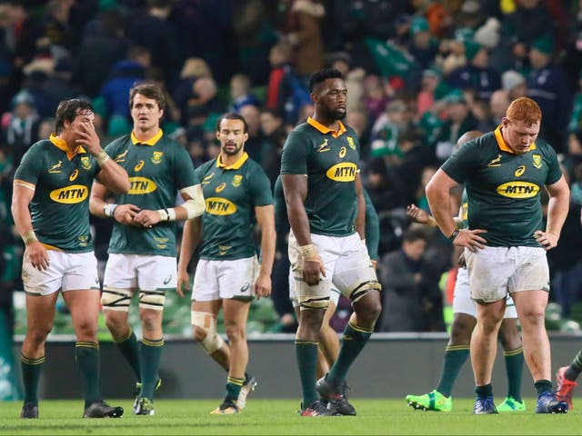 <p>The Springboks have not faced the Irish since suffering a 38-3 thrashing in 2017 </p>