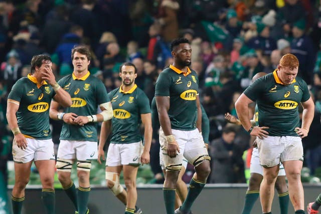 <p>The Springboks have not faced the Irish since suffering a 38-3 thrashing in 2017 </p>