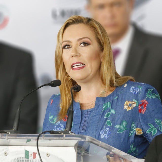 <p>Senadora Alejandra Reynoso.</p>