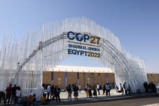 Egyptian rights activists divided over holding Cop27 in ‘climate of fear’