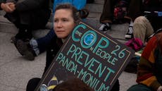 What is Cop27 and why does it matter?