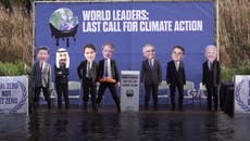 Cop27: From world leaders to celebrities - who is attending the climate summit?