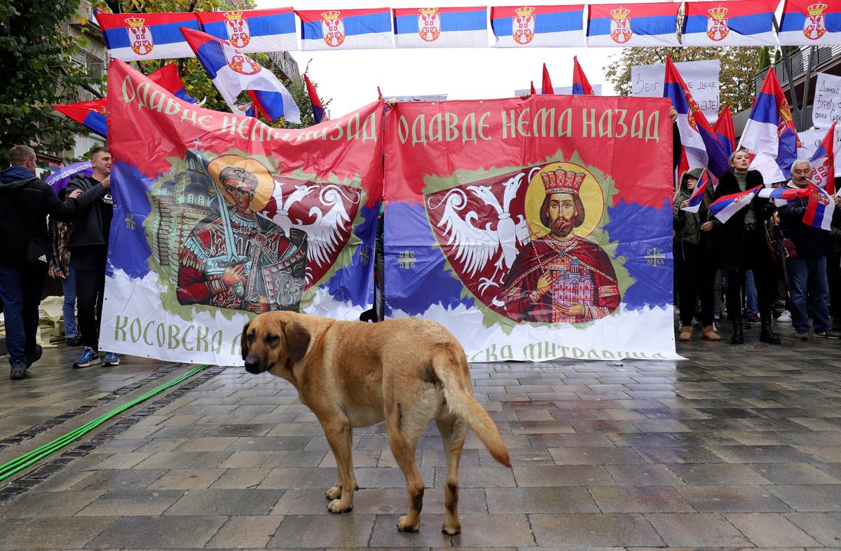 Ethnic Serbs rally in Kosovo after leaving jobs in protest | The ...