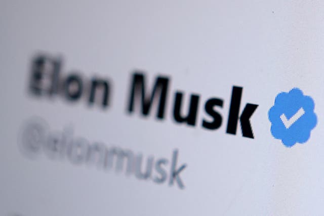 <p>Musk’s plans currently include no provisions to prevent fake accounts that impersonate journalists and public figures being verified and receiving the tick</p>