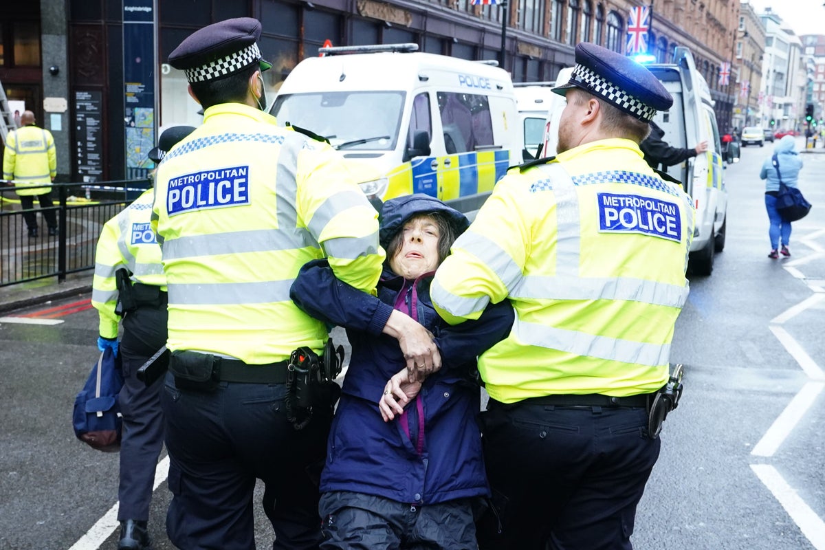 Met Police launch major operation to arrest suspected climate change ...