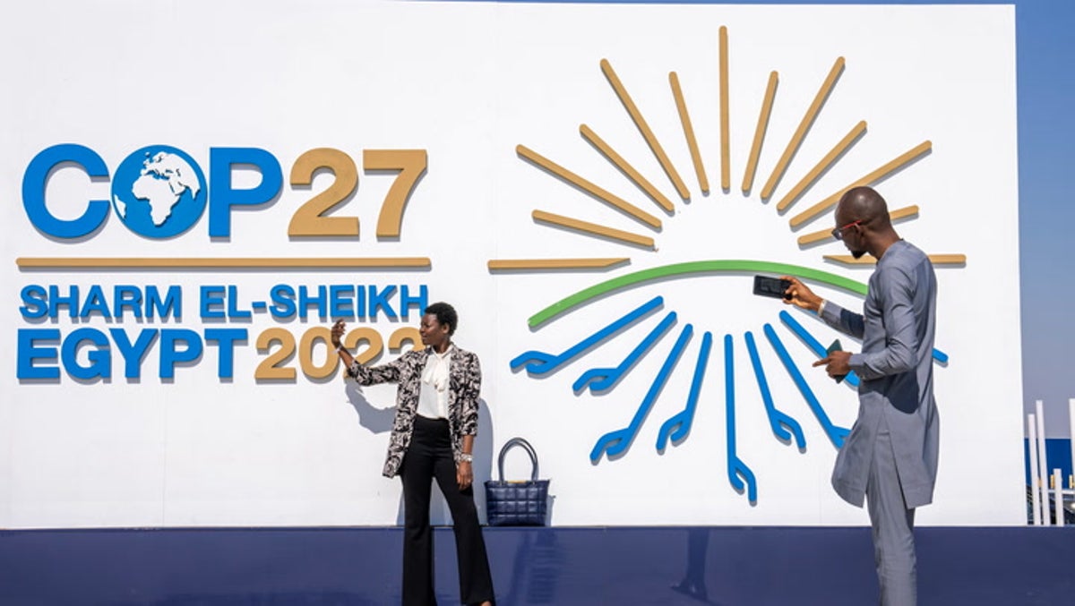 Cop27: Delegations in closed-door negotiations as science and youth feature on main stage