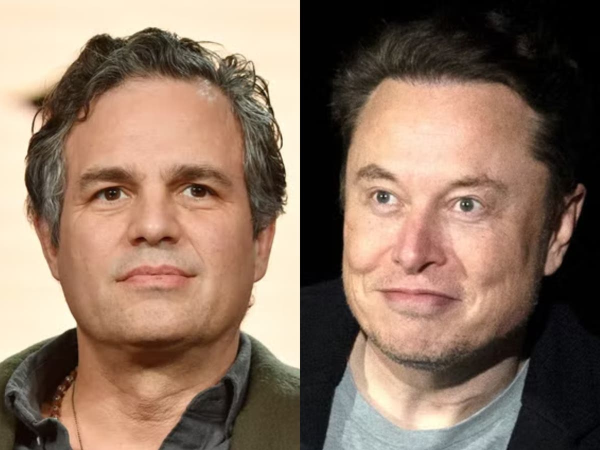 ‘For the love of decency’: Mark Ruffalo pleads with Elon Musk over Twitter changes