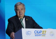 Cop27 - live: UN chief Guterres says world is on the ‘highway to climate hell’ 