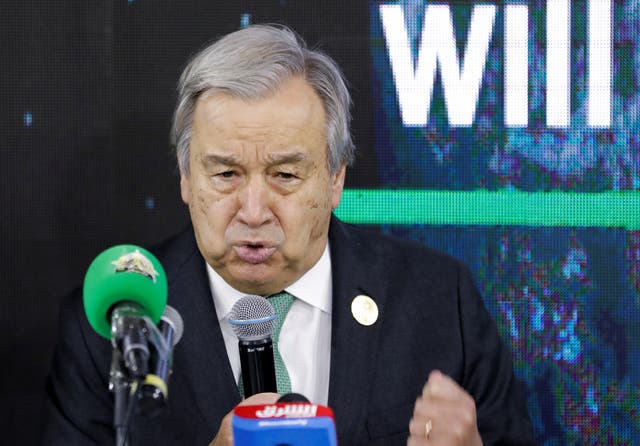 <p>UN Secretary-General António Guterres criticised corporate greenwashing </p>