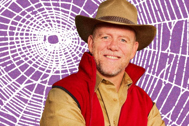 <p>‘There’s a s***load of spiders’: Mike Tindall survived an arachnid attack on Sunday’s ‘I’m a Celeb’ through sheer brain power</p>