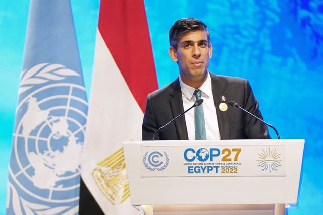 Rishi Sunak speaks at Cop27 (Stefan Rousseau/PA)