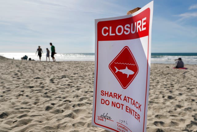 <p>A closure sign is posted off Del Mar beach, north of San Diego, after a 50-year-old woman was bitten by a shark in on Friday, 4 November 2022</p>