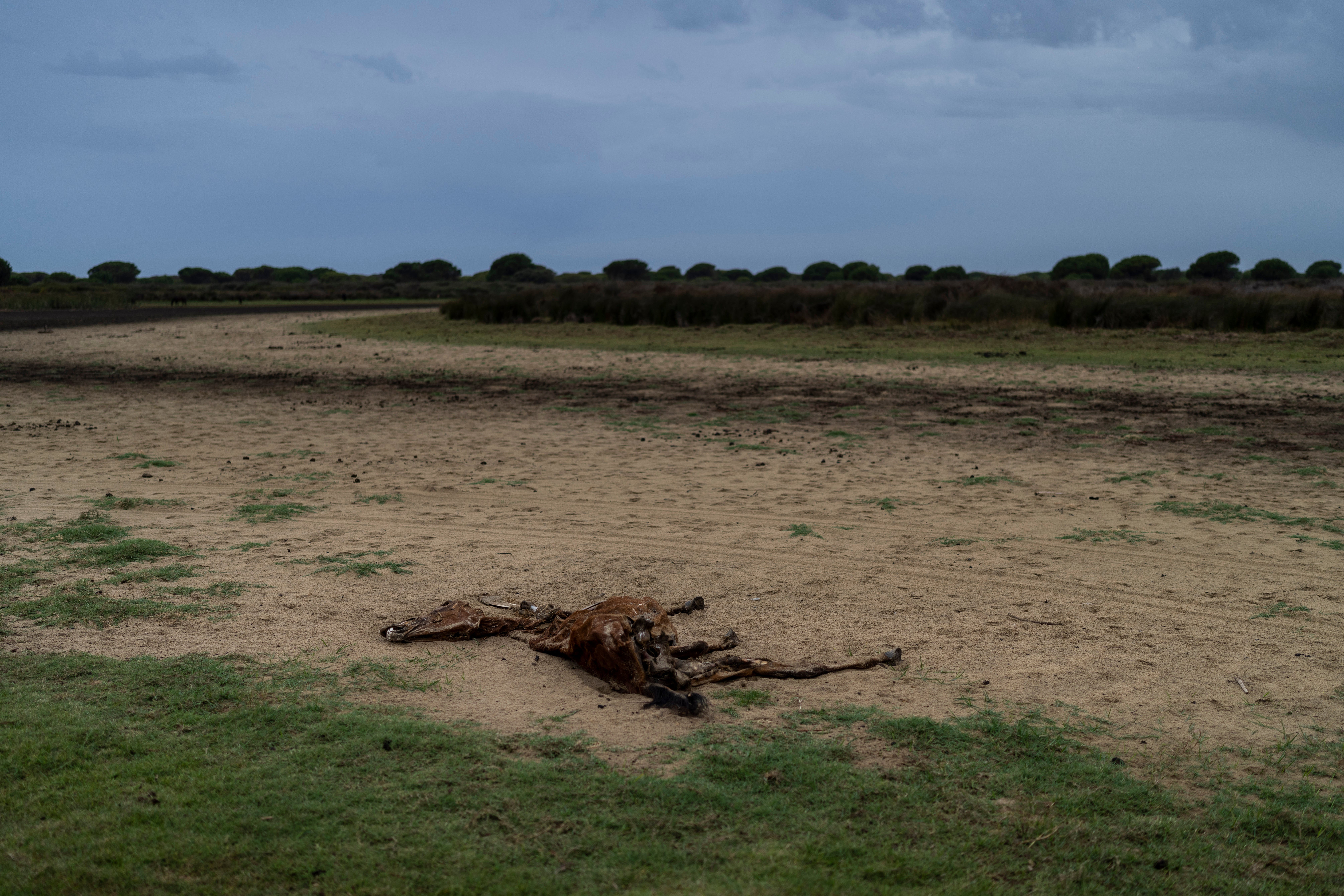 COP27 Spain Climate Drying Wetlands