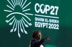 Cop27 news – live: World faces a ‘billion climate refugees’ if crisis talks fail