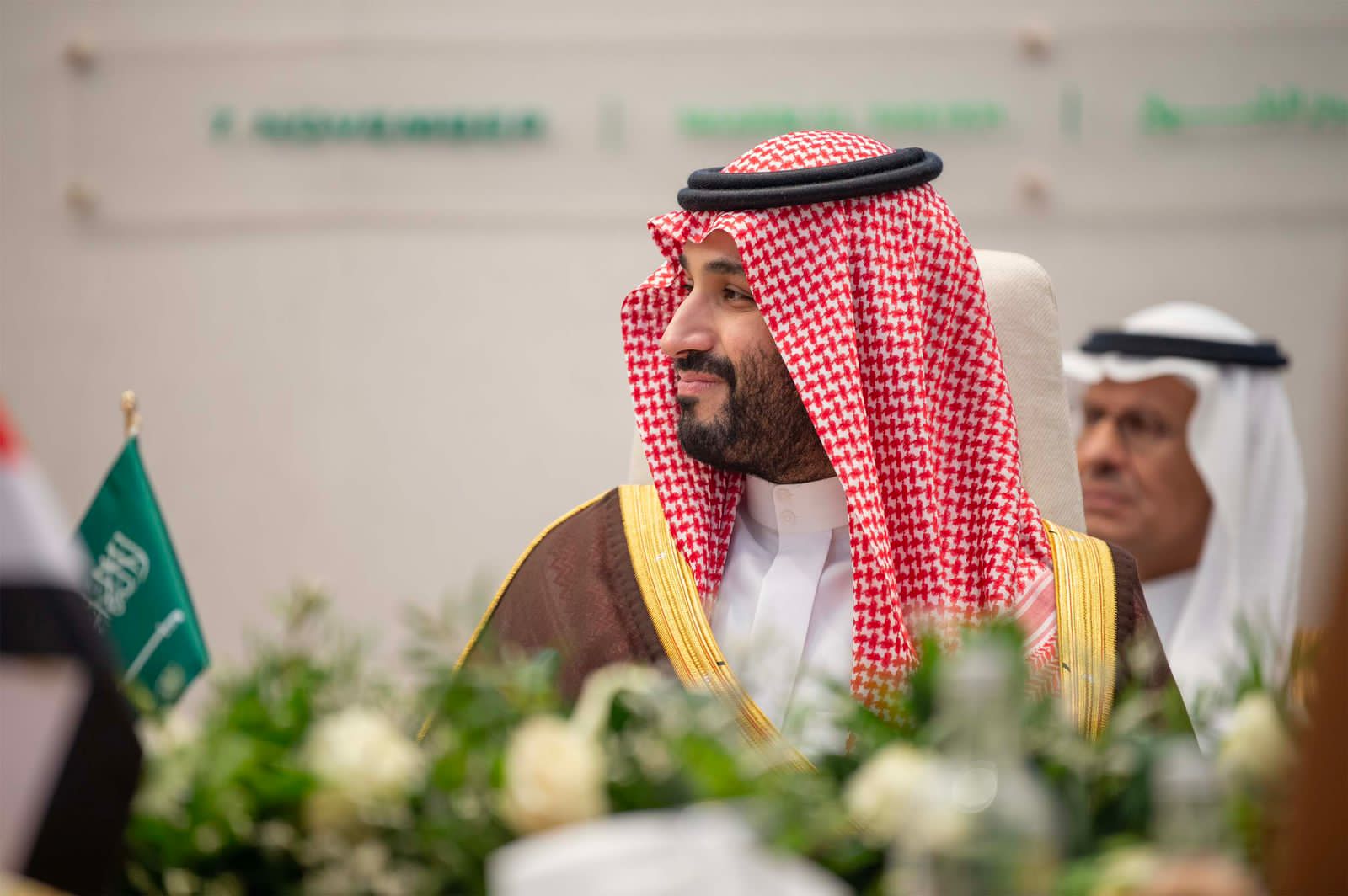 Saudi crown prince boosts climate change support for region