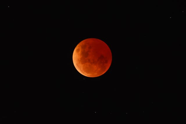 <p>A blood moon over Australia this week </p>