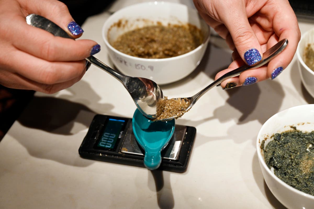 Colorado voters decriminalise psychedelic ‘magic’ mushrooms with