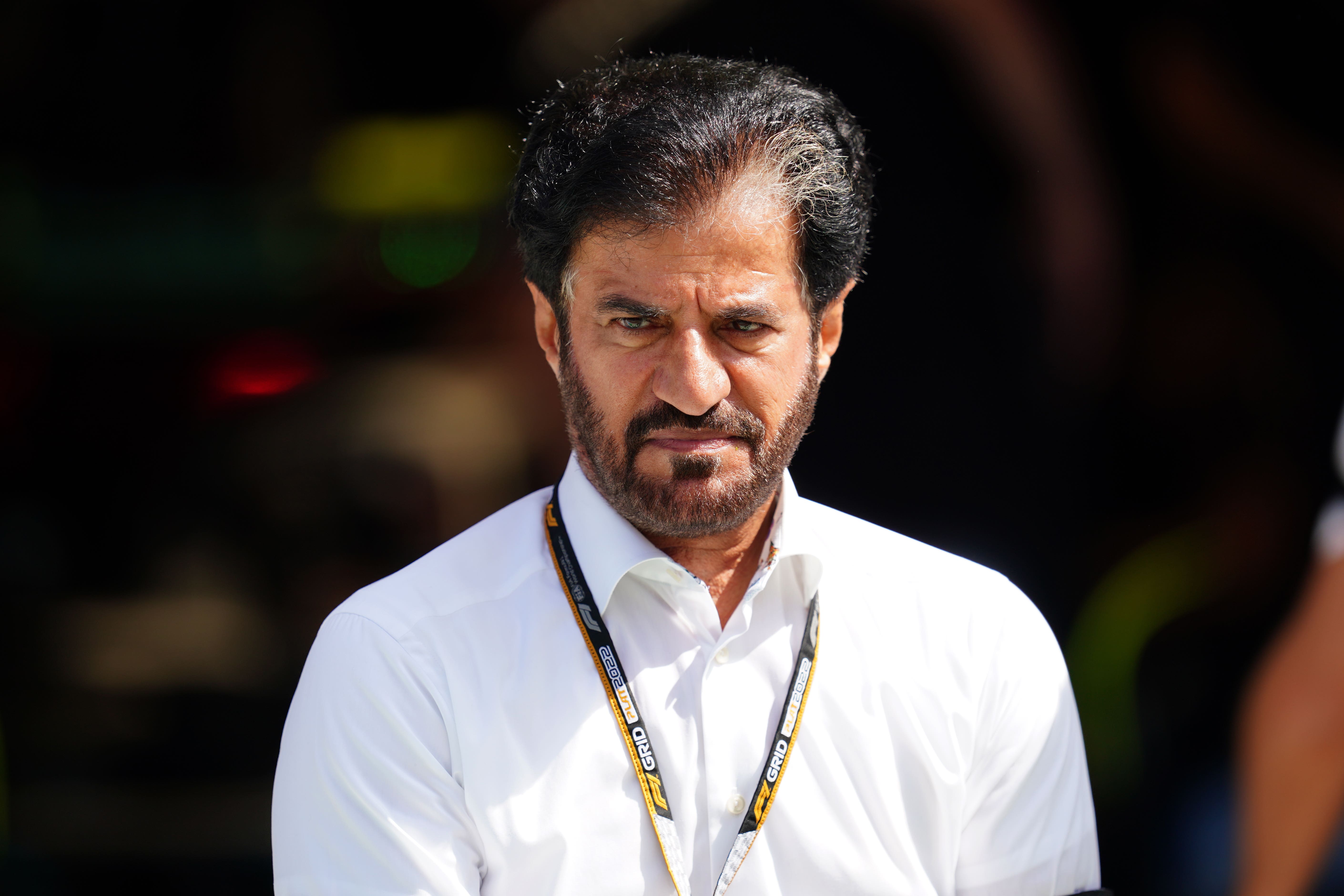 FIA President Mohammed ben Sulayem has condemned the “sustained toxicity” on social media (David Davies/PA)